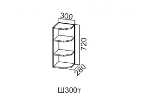 Ш300т/720 Шкаф навесной 300/720 (торцевой) в Урае - uraj.магазин96.com | фото