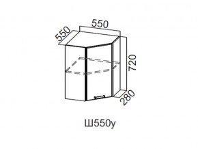 Ш550у/720 Шкаф навесной 550/720 (угловой) в Урае - uraj.магазин96.com | фото