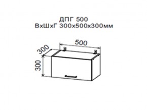 Шкаф верхний ДПГ500 горизонтальный в Урае - uraj.магазин96.com | фото