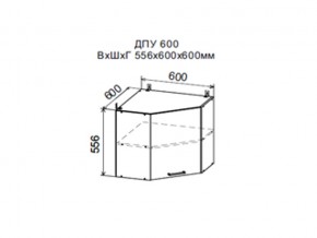 Шкаф верхний ДПУ600 угловой в Урае - uraj.магазин96.com | фото